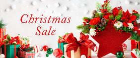 Christmas Sale Delivered to Canada