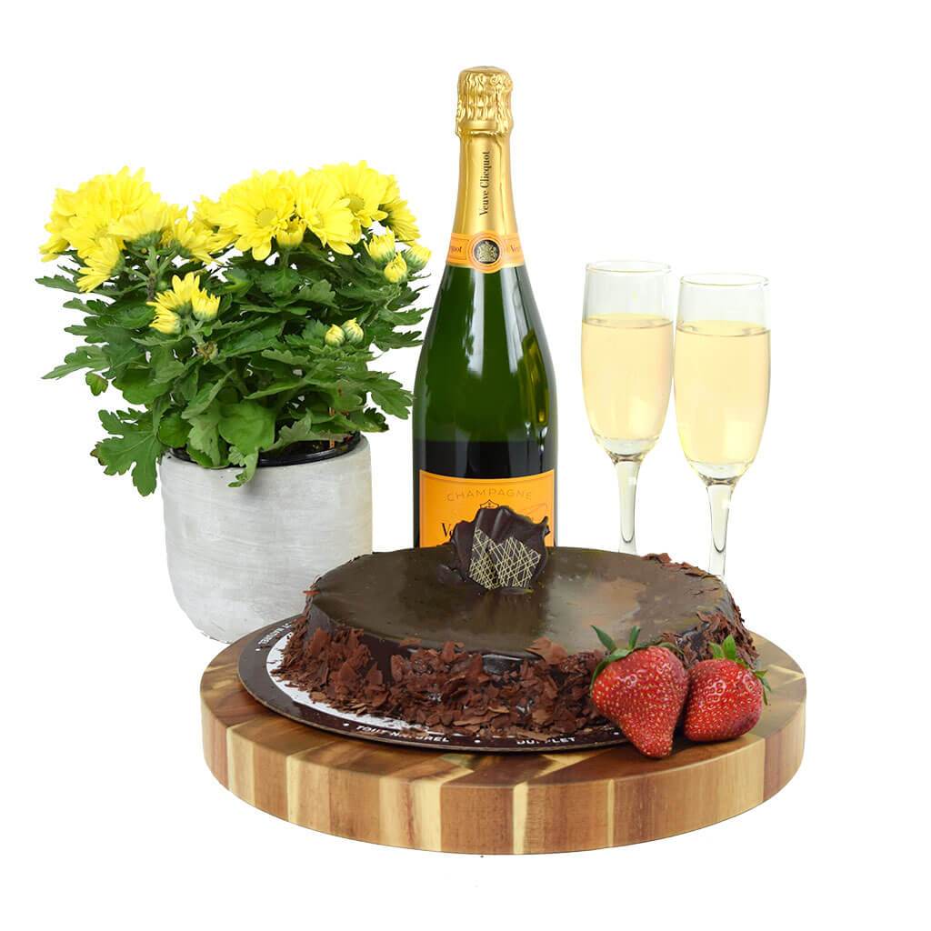 Chocolate Cake For All Champagne Gift