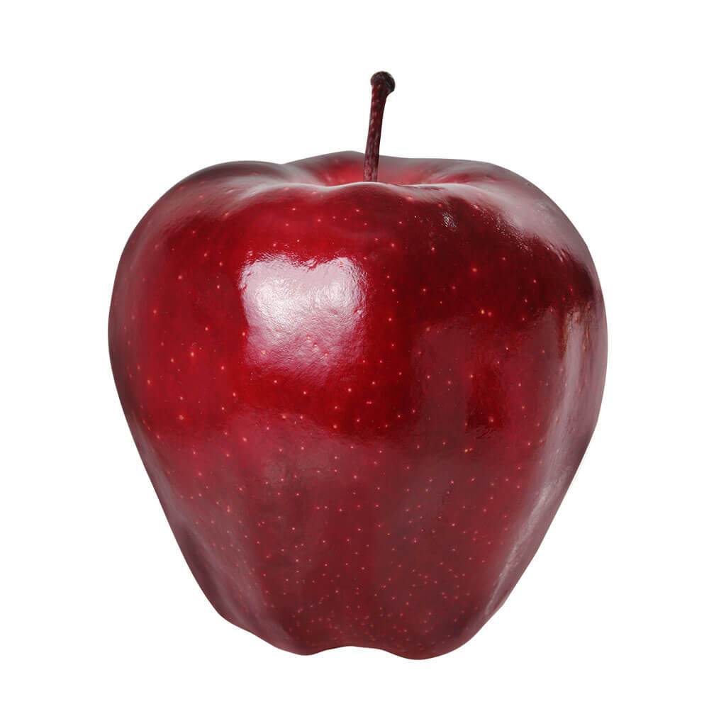 Fruit