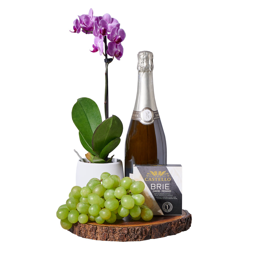 Champagne &amp; Orchid Gourmet Gift, gourmet gift, gourmet, sparkling wine gift, sparkling wine, champagne gift, champagne, orchid gift, orchid, plant gift, plant