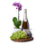Champagne & Orchid Gourmet Gift