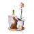 Easter Orchid & Chocolate Gift Board
