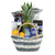 Pineapple Express Gift Basket